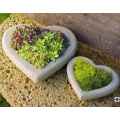 Pots de fleurs en granite en forme de coeur G603